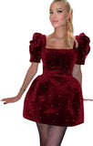 Dress Burgundy velvet